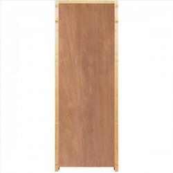 Interior door with plywood face (unvarnished)