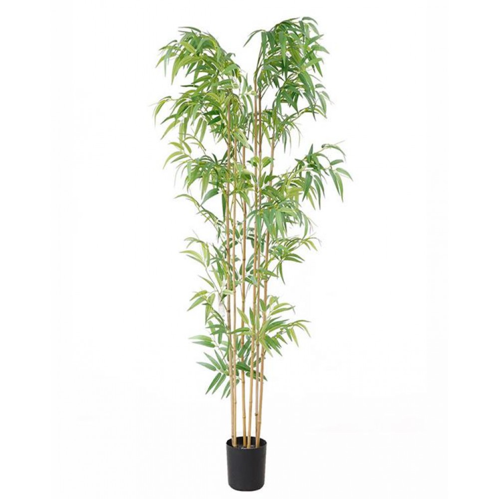 BAMBOO  NP5801_180_22_UV  ΥΨΟΣ 180cm NewPlan
