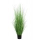 ONION GRASS TREE  NP1011_120 ΥΨΟΣ 120cm NewPlan