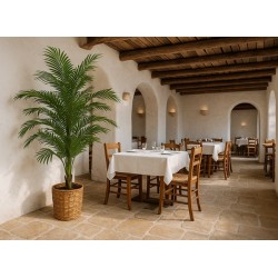 PALM TREE  NP9295_160  ΥΨΟΣ 160cm NewPlan