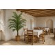 PALM TREE  NP9295_160  ΥΨΟΣ 160cm NewPlan