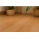ΠΛΑΣΤΙΚΟ ΔΑΠΕΔΟ  GOLD STAR 0.6mm 469/552402 2M NewPlan