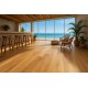 ΠΛΑΣΤΙΚΟ ΔΑΠΕΔΟ MASSIF 363M CHALET OAK 4M NewPlan