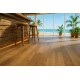 ΠΛΑΣΤΙΚΟ ΔΑΠΕΔΟ MASSIF 363M CHALET OAK 4M NewPlan