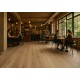 ΠΛΑΣΤΙΚΟ ΔΑΠΕΔΟ TITAN  662M WILLOW OAK 4M NewPlan