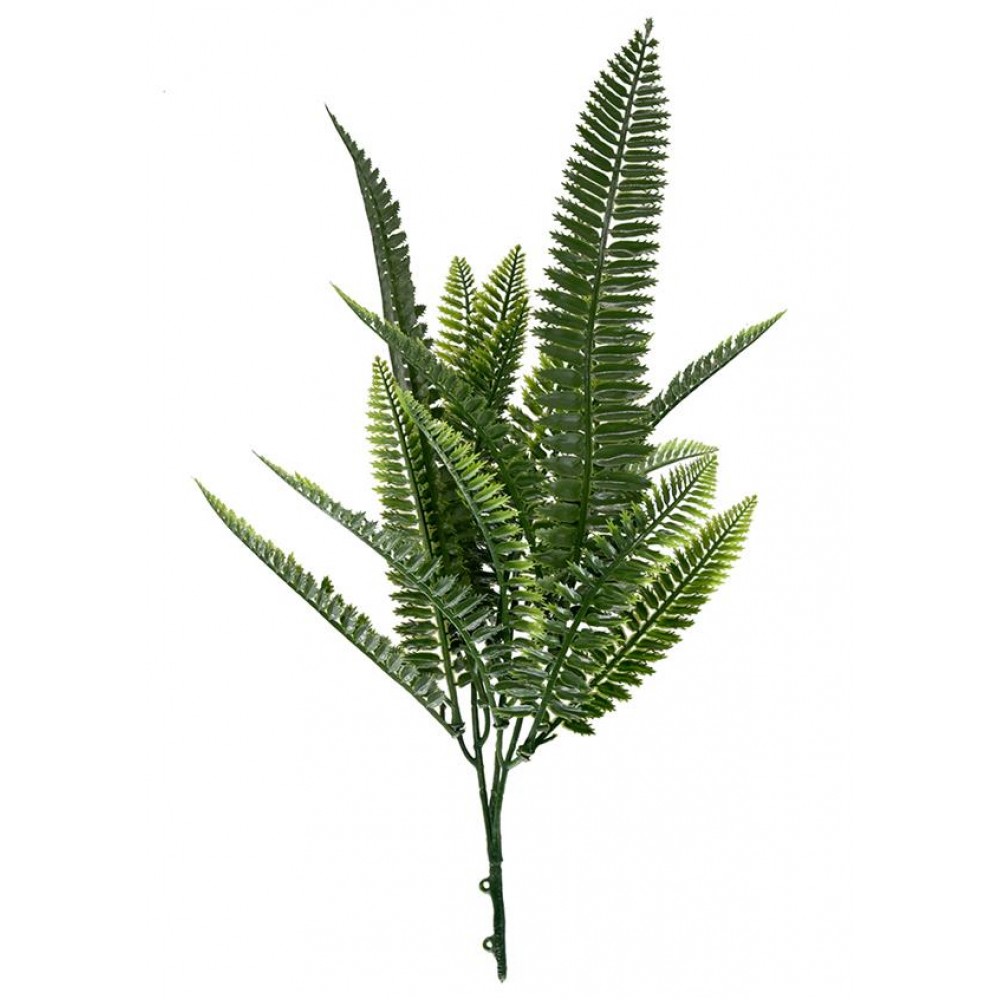 ΔΙΑΚΟΣΜΗΤΙΚΟ ΜΠΟΥΚΕΤΟ (SET 10ΤΜX) AMALFI W027 SPLEENWORT NewPlan