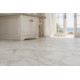 ΠΛΑΣΤΙΚΟ ΔΑΠΕΔΟ  GOLD STAR 0.6mm 469/213203 2M NewPlan