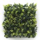 ΠΑΝΕΛ ΦΥΛΛΩΣΙΑΣ BERLIN 50 X 50 A003 BUXUS NewPlan