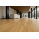 ΠΛΑΣΤΙΚΟ ΔΑΠΕΔΟ TRENTO 263L HONEY OAK 3M NewPlan