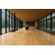 ΠΛΑΣΤΙΚΟ ΔΑΠΕΔΟ TRENTO 263L HONEY OAK 3M NewPlan
