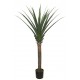 AGAVE TREE  NP802_160  ΥΨΟΣ 160cm NewPlan