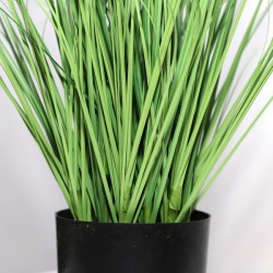 ONION GRASS TREE  NP1011_120 ΥΨΟΣ 120cm NewPlan