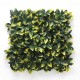 ΠΑΝΕΛ ΦΥΛΛΩΣΙΑΣ BERLIN 50 X 50 A017 PHOTINIA NewPlan
