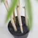 BAMBOO  NP0070_210 ΥΨΟΣ 210cm NewPlan