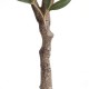 OLIVE TREE NP439_150  ΥΨΟΣ 150cm NewPlan