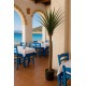 AGAVE TREE  NP802_160  ΥΨΟΣ 160cm NewPlan