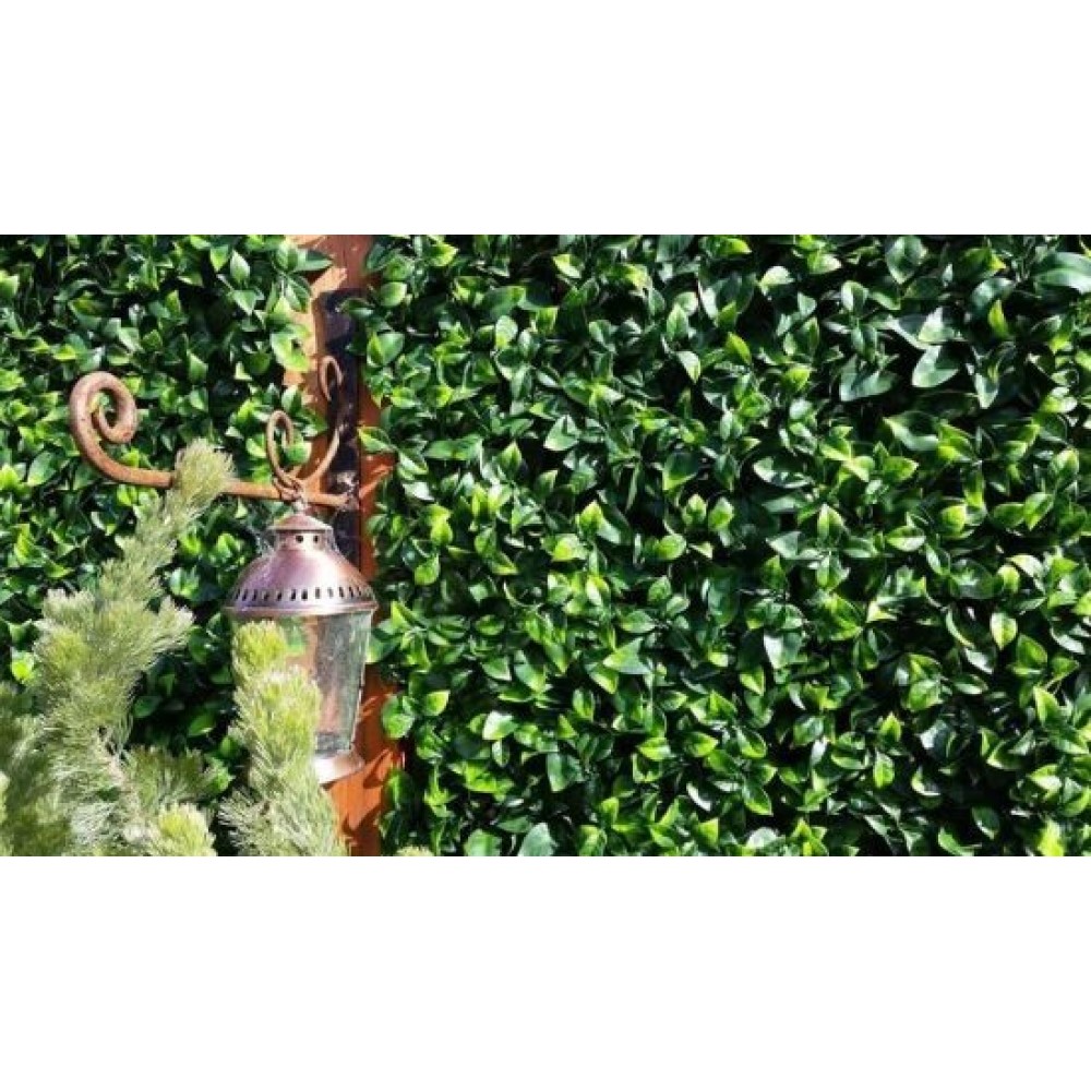 ΠΑΝΕΛ ΦΥΛΛΩΣΙΑΣ BERLIN 50 X 50 A017 PHOTINIA NewPlan