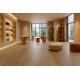 ΔΑΠΕΔΟ LAMINATE  EFFECT  PREMIUM 4V 12mm 912 SOLARO NewPlan