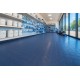 ΠΛΑΣΤΙΚΟ ΔΑΠΕΔΟ ΤΑΠΑ 1mm OCEAN BLUE 2Μ NewPlan