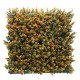 ΠΑΝΕΛ ΦΥΛΛΩΣΙΑΣ BERLIN 50 X 50 A012 BUXUS NewPlan