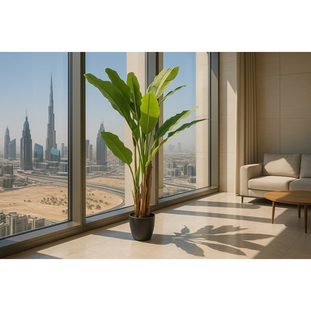 BANANA TREE NP6327_180_22  ΥΨΟΣ 180cm NewPlan