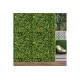 ΠΑΝΕΛ ΦΥΛΛΩΣΙΑΣ BERLIN 50 X 50 A003 BUXUS NewPlan