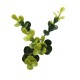ΠΑΝΕΛ ΦΥΛΛΩΣΙΑΣ BERLIN 50 X 50 A003 BUXUS NewPlan