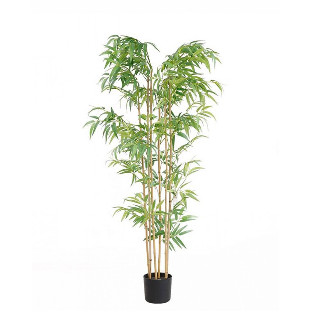 BAMBOO  NP5801_150_22_UV   ΥΨΟΣ 150cm NewPlan