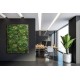 ΚΑΘΕΤΟΣ ΚΗΠΟΣ  PARIS 100 X 100 A074 MEADOW NewPlan