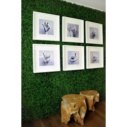 ΠΑΝΕΛ ΦΥΛΛΩΣΙΑΣ BERLIN 50 X 50 A146 BOXWOOD NewPlan