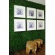 ΠΑΝΕΛ ΦΥΛΛΩΣΙΑΣ BERLIN 50 X 50 A146 BOXWOOD NewPlan