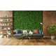 ΠΑΝΕΛ ΦΥΛΛΩΣΙΑΣ BERLIN 50 X 50 A199 EUCALYPTUS NewPlan
