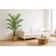 PALM TREE  NP5505_150_22  ΥΨΟΣ 150cm NewPlan
